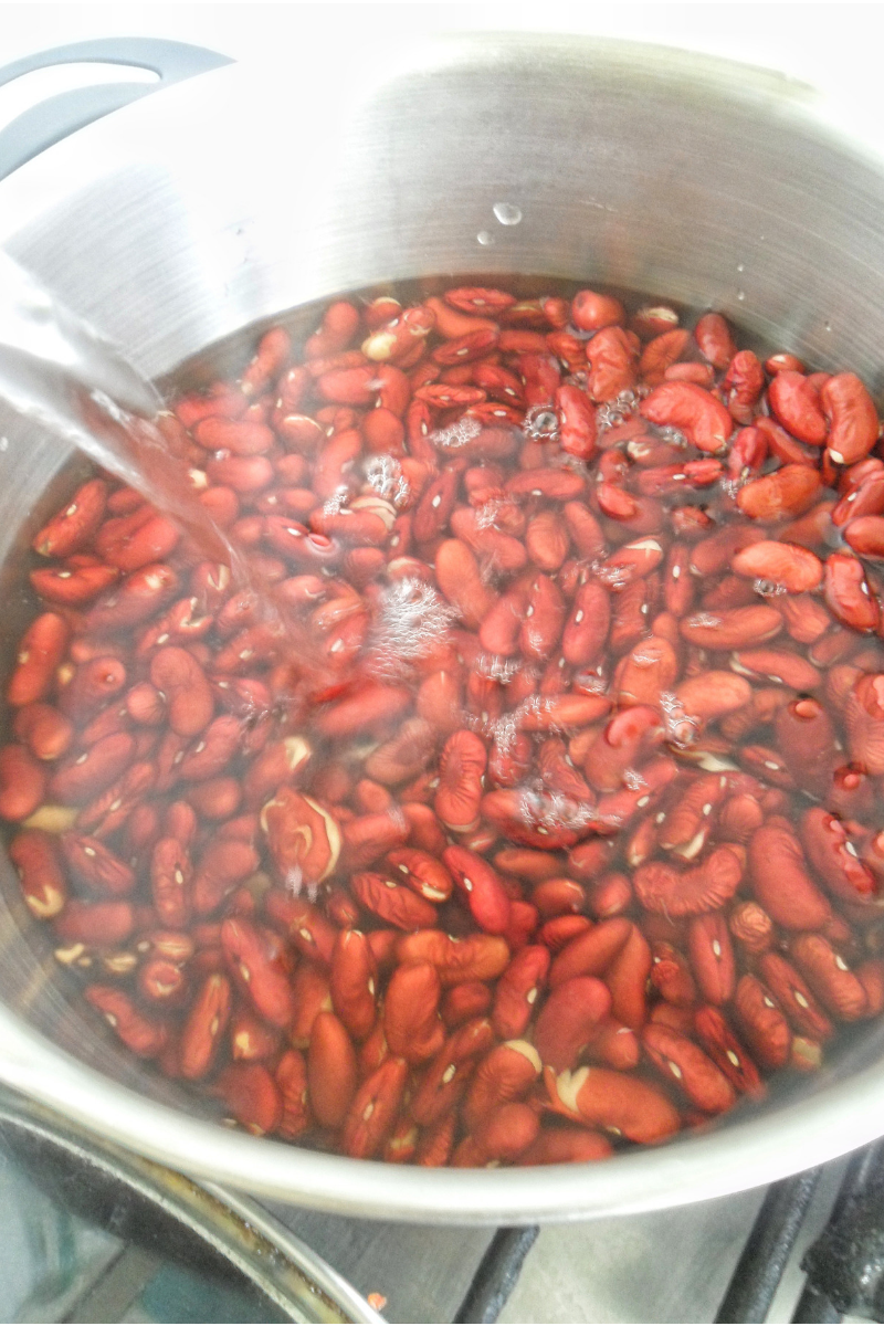 Dominican Stewed Kidney Beans {Vegan, GF} Kasheribbean