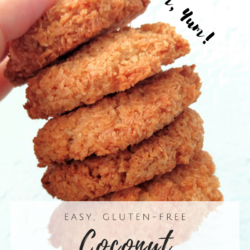 3 Ingredients Coconut Macaroons {Gluten-Free, Passover-Friendly}
